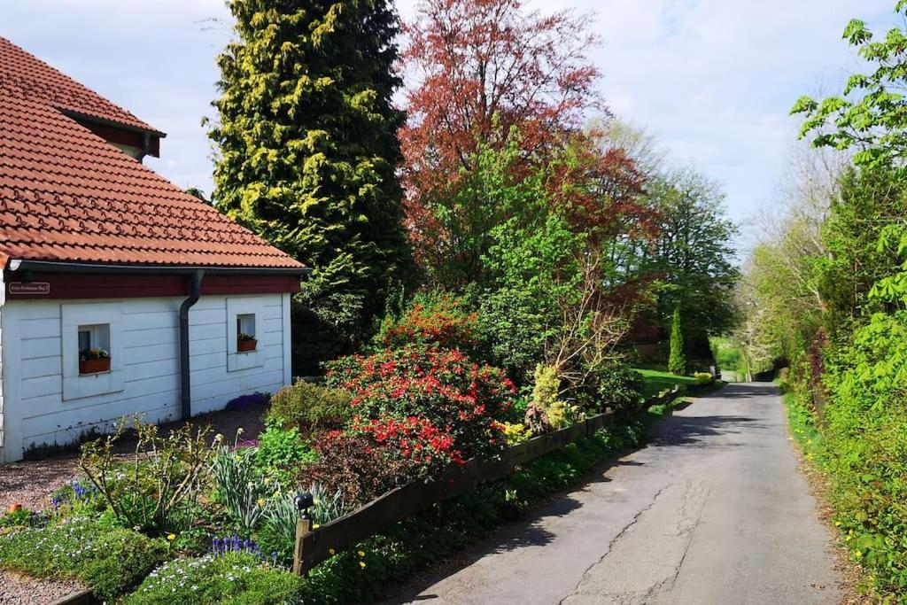 Ferienhaus Auszeit *